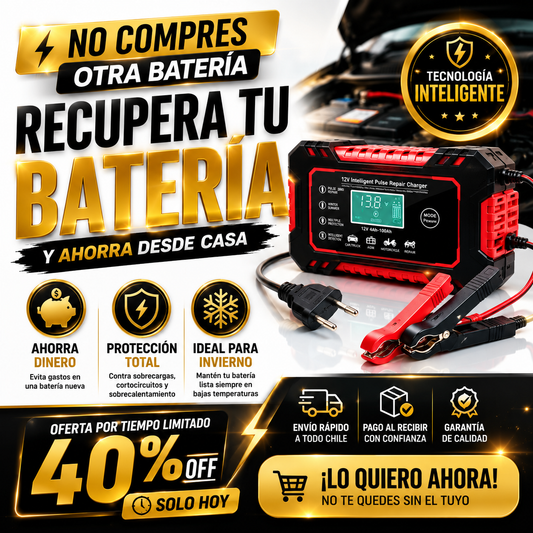 Cargador Inteligente para Baterías 12V/24V