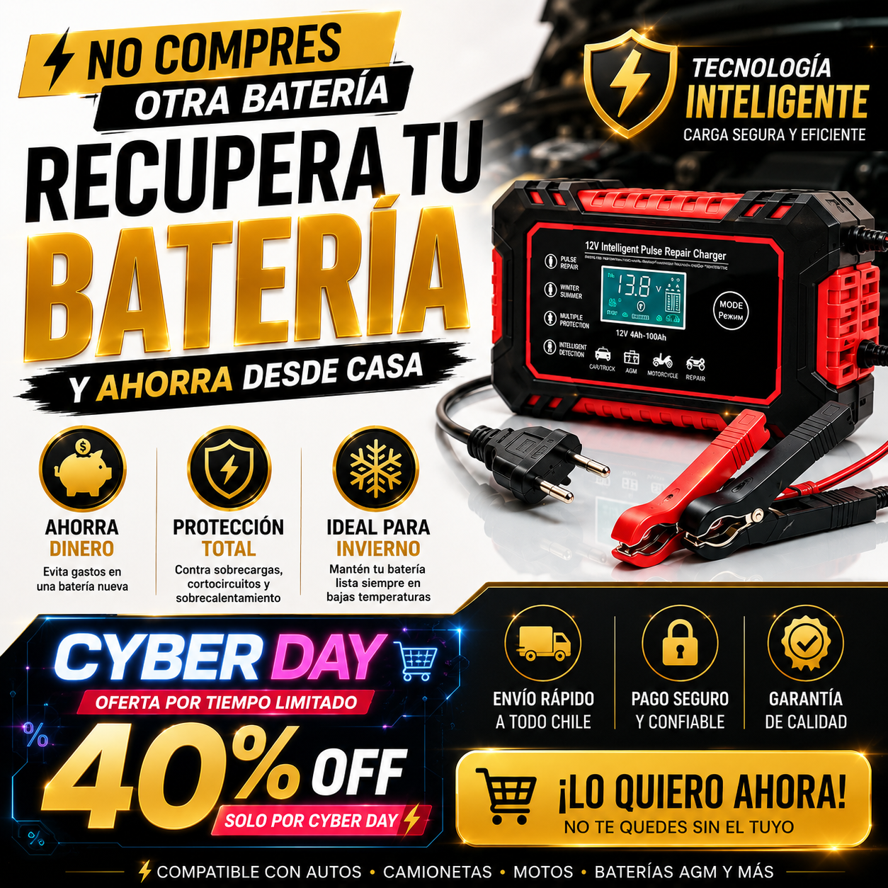 Cargador Inteligente para Baterías 12V/24V